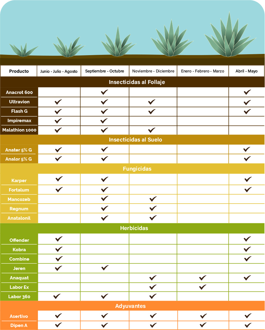 Datos cultivos agave