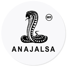 Logo Anajalsa
