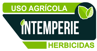 Logo Intemperie