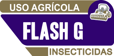 Logo Flash G