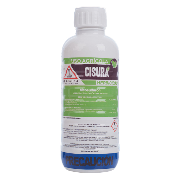 Cisura 1L